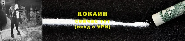 шишки Балахна