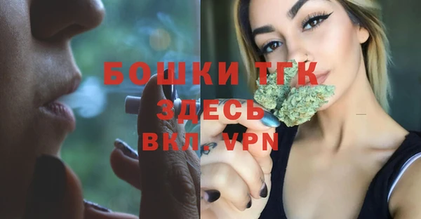 шишки Балахна