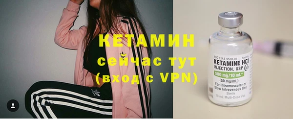 шишки Балахна