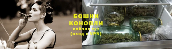 шишки Балахна