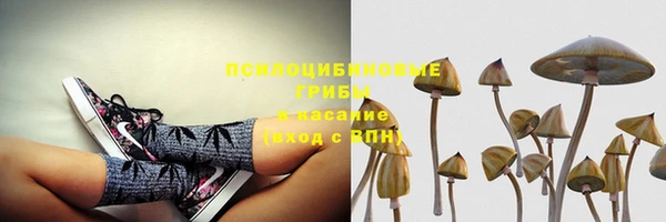 шишки Балахна