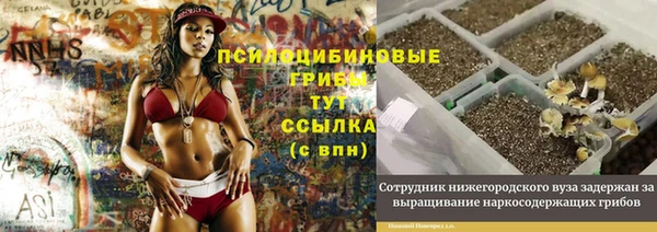 шишки Балахна